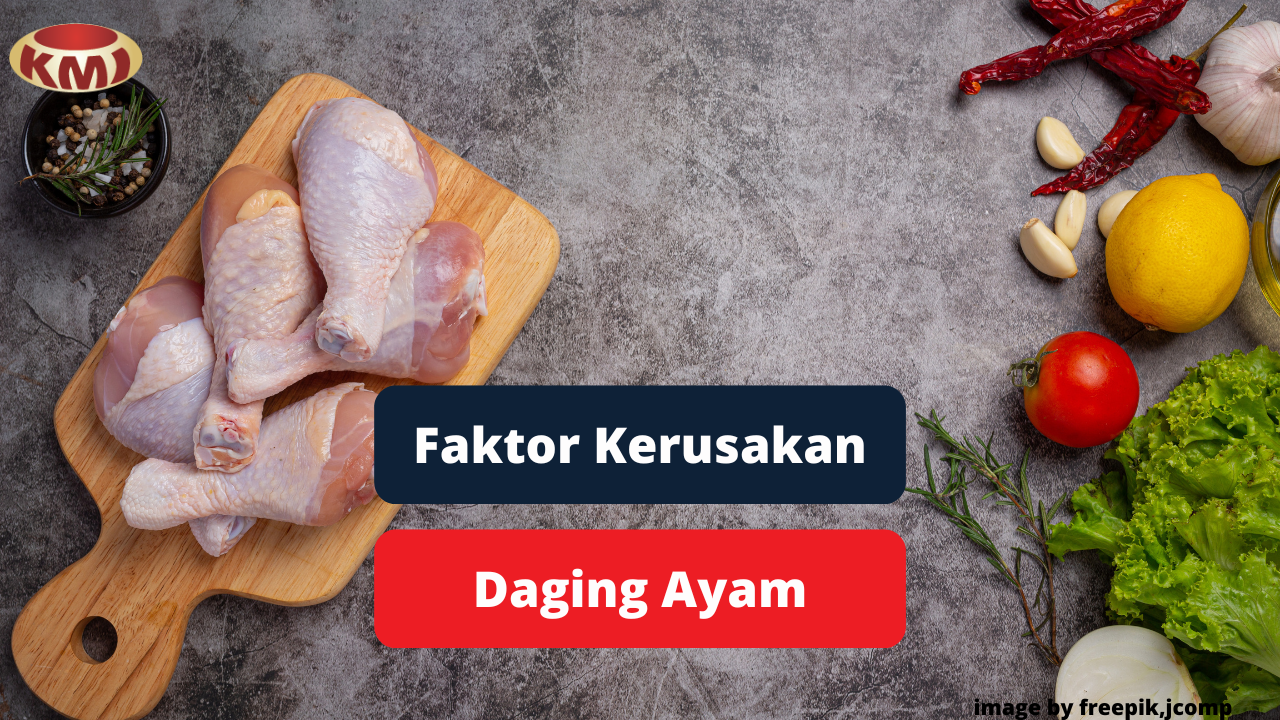 Beberapa Hal Yang Mempengaruhi Kerusakan Daging Ayam